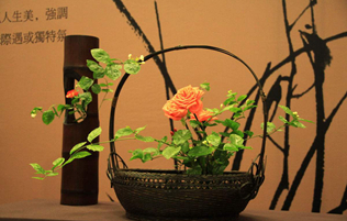 設(shè)計,極簡主義家居花藝室內(nèi)擺放指南